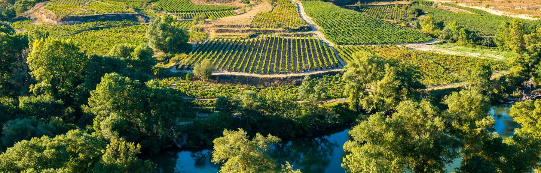 Symbol Camino de Santiago, La Rioja, Spain