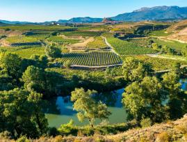 Vistas viñedo La Rioja España