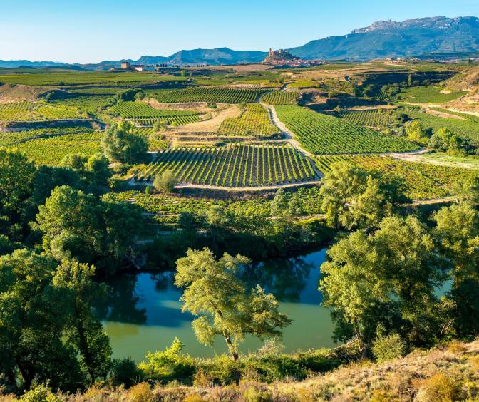 Luftaufnahme des Weinberges, La Rioja Spanien